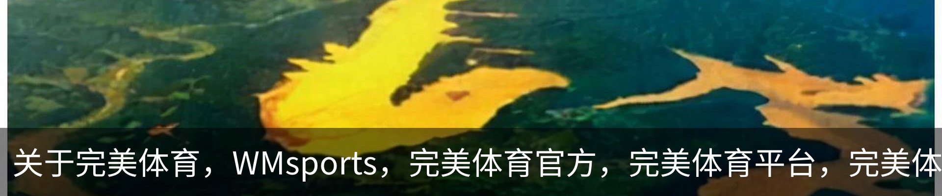关于完美体育，WMsports，完美体育官方，完美体育平台，完美体育下载